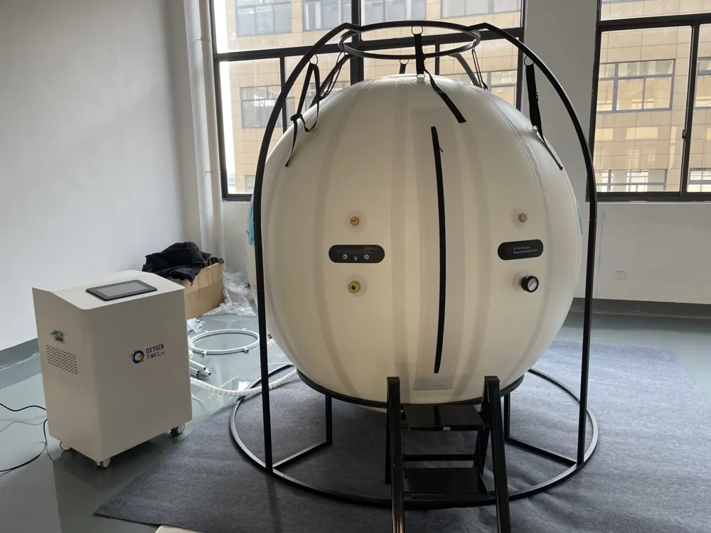 OTB Spherical Sitting Chamber view 2